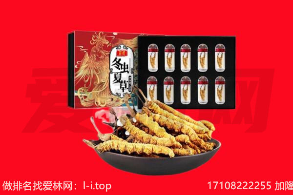 衢州回收虫草.jpg